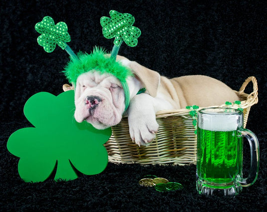 4 Ways to Celebrate St. Patrick’s Day in Las Vegas